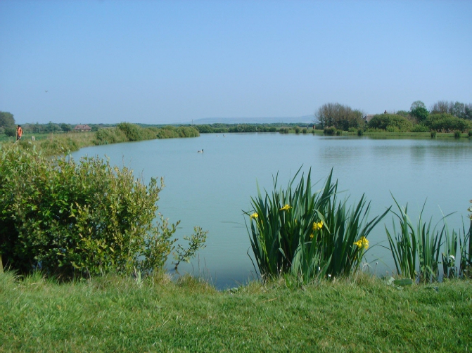 Thorncross Lake Carp Fishery