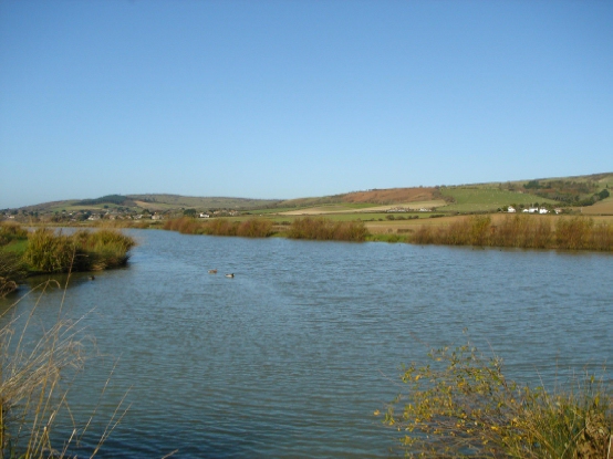 Thorncross Lake Carp Fishery