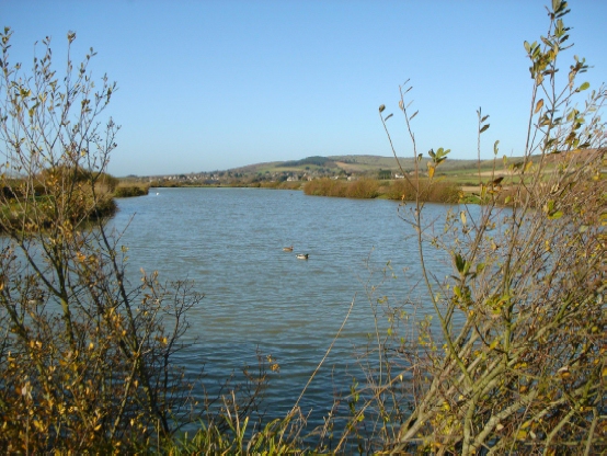 Thorncross Lake Carp Fishery